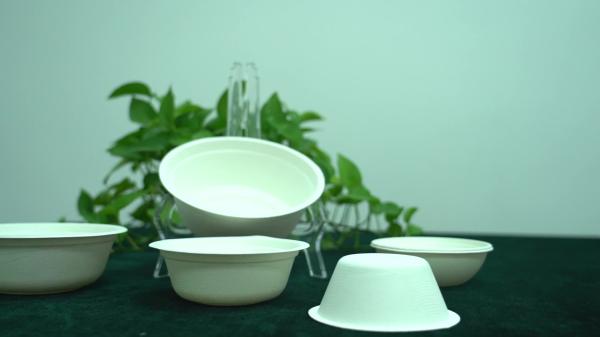 Sugarcane Bagasse Dishes Compostable Biodegradable Disposable Plate Dinnerware Restaurant Use