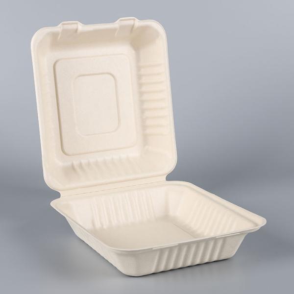 biodegradable disposable sugarcane bagasse takeaway food container packaging clamshell lunch box