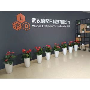 Wuhan LPBchem Technology Co.,Ltd