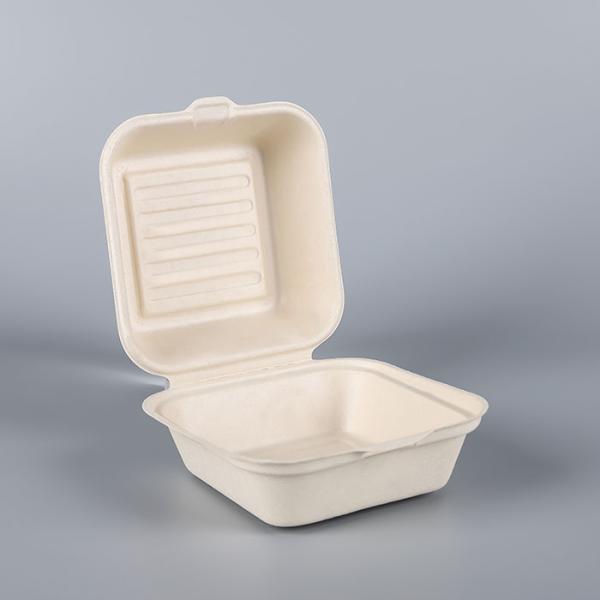 Sugarcane Eco Friendly Takeaway Food Containers , Tableware Paper Burger Box