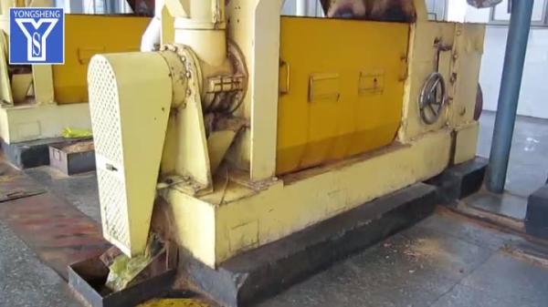 Oil Extraction Machine Walnut, Moringa Press Oil Machine Price Oil Expeller Machine