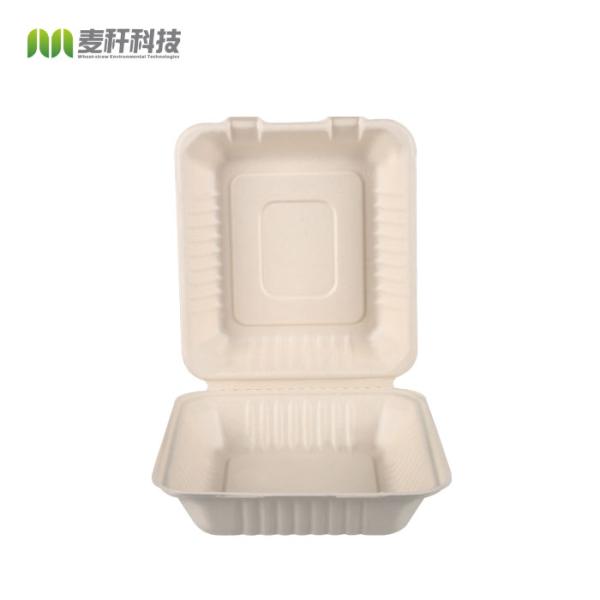 8inch Clamshell Biodegradable Packaging Bagasse Food Container Disposable biodegradable eco friendly tableware