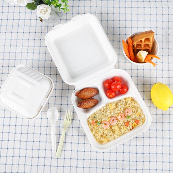 FREE PLASTIC 2021 Eco friendly tableware Pulp tableware Biodegradable food container