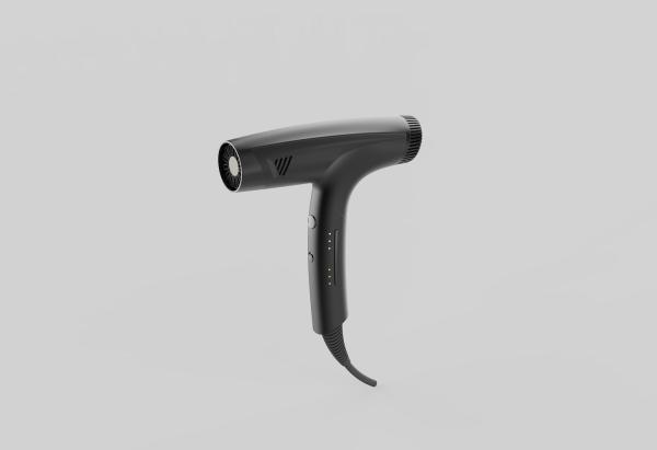 O secador durável de Mini Foldable Brushless Motor Hair personalizou o GB