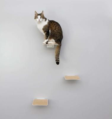 Oferecendo aos pequenos animais a oportunidade de escalar e observar o design revestido de pó preto