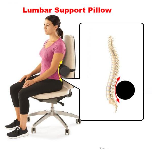 Office Chairs and Car Seats Lumbar Support Pillow with Breathable Mesh Fabric Cover