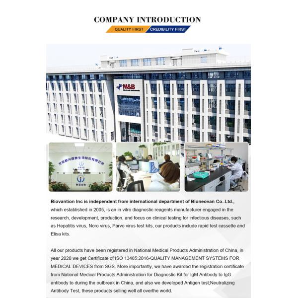 Antigénio de Carboidratos 19-9 Marcador de Câncer Análise de Sangue CA199 ELISA KIT