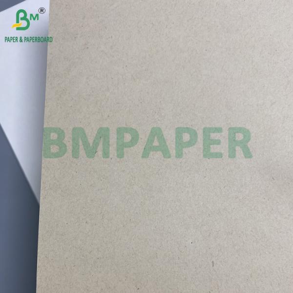 Biodegradable Food-Grade Sugarcane Paper For Disposable Plates 70gsm To 400gsm Papier de canne à sucre biodégradable de qualité alimentaire pour plaques jetables 70 gm à 400 gm