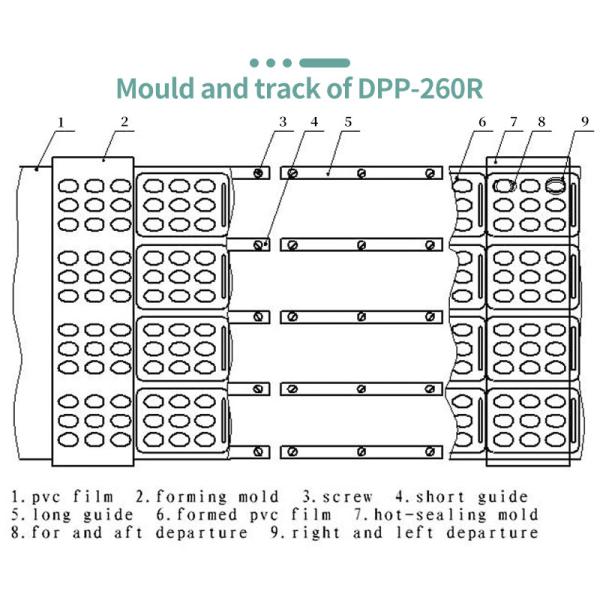AL PL Blister Packing Machine Automatic Pill Tablet DPP