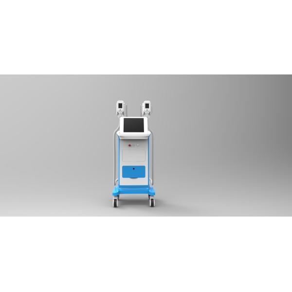Newest Cryolipolysis Lipo Laser Machine In 2016