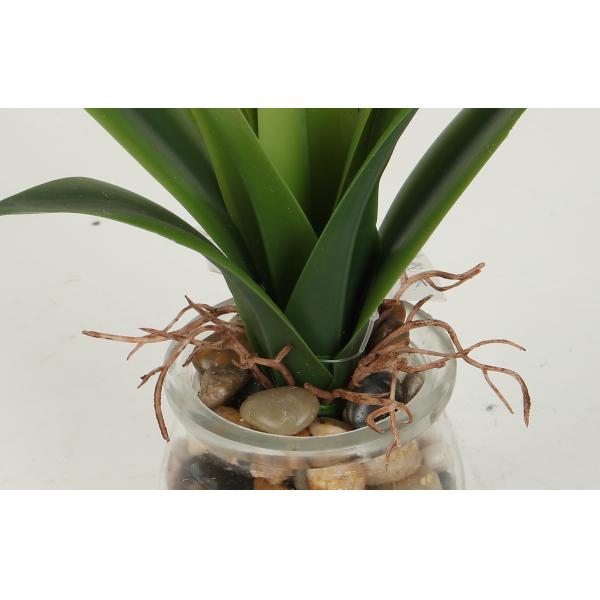 Mini Artificial Agave Bonsai With Glass Pot