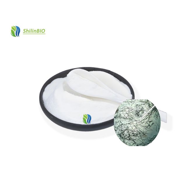 95% Cosmetic Grade Freshwater Sponge Bone Needle Extract Sponge Microneedle Powder From Raw Material