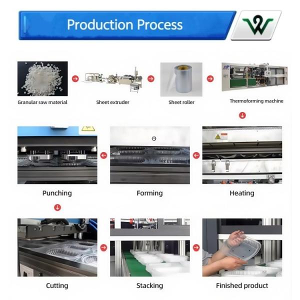 Fully Automated Plastic Thermoforming Machine for Food Containers