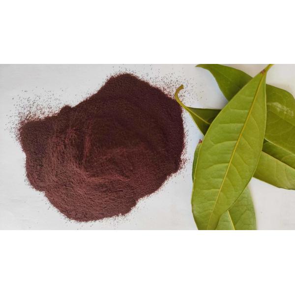 Swine Spray Dried Animal Feed Protein Chicken Blood Cells Albumen Powder