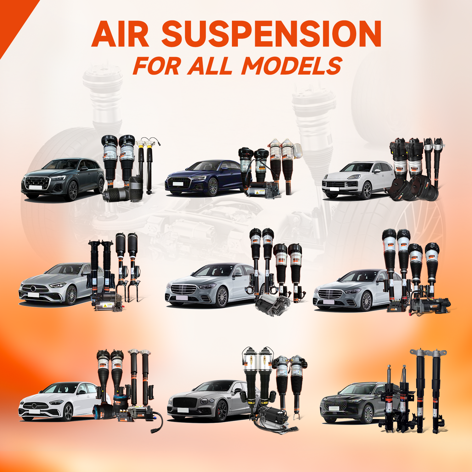 4N4616002B 4N4616002E Audi Air Suspension Shock Absorber Rear Left Audi A8 D5