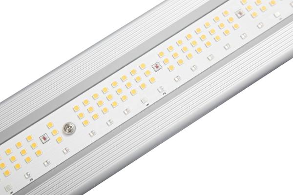 Hydroponic Red UV 1000W LED Grow Lights Lm301h Lm301b For Plants