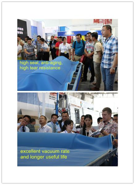 2 Layer Glass Laminating Machine for Bending / LOW - E Laminated Glass