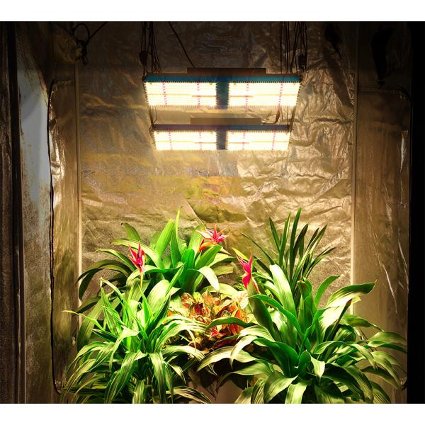 СИД инфракрасн УЛЬТРАФИОЛЕТОВОЕ LM301H вырасти светлое AC85V Samsung Lm301h 480W 1248umol/s