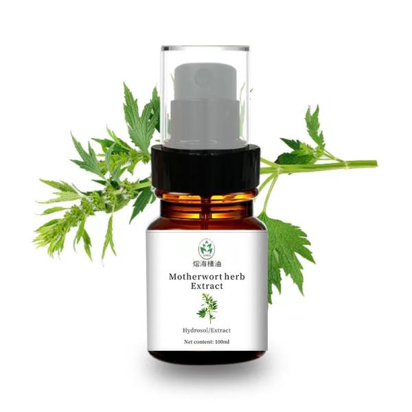 Cas 24697-74-3 Natural Hydrosol Motherwort Extract Through Water Distillation