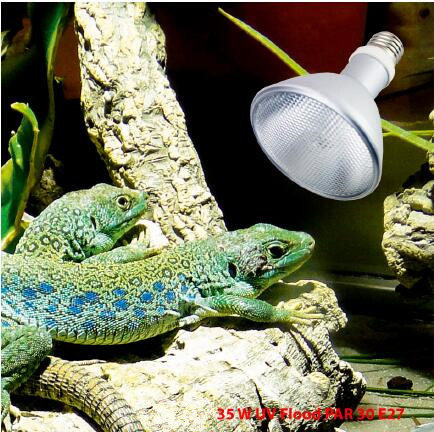 35W Reptile UVB PAR E27 Aluminium HID Lamp 6000K Daylight Alert For Terrarium