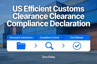 US Efficient Customs Clearance Compliance Declaration Fast Release   Zero   Delay