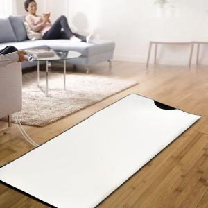 110V/220V/240V Zipper Sauna Blanket with Negative Ion Balls for Health Museums