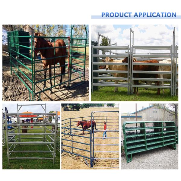 Galvanized Powder Coating 6ft By 10ft Cattle Yard Panels Portable