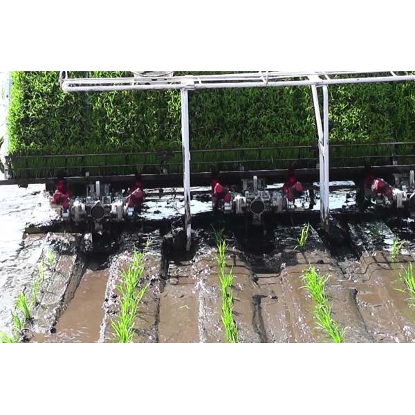 Solo brazo 3.68kw 4mu/H Paddy Rice Transplanter Machine