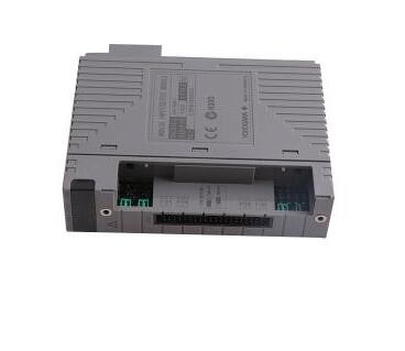 AAI543-S50 S1 YOKOGAWA Analog Input Module