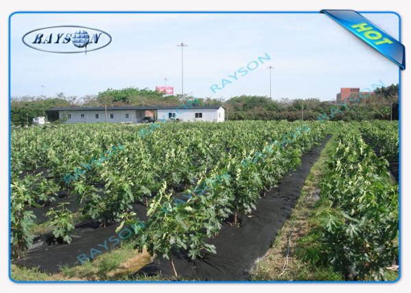 100% PPSB Non Woven Garden Weed Control Fabric Black /  White Agriculture Non Woven Cover