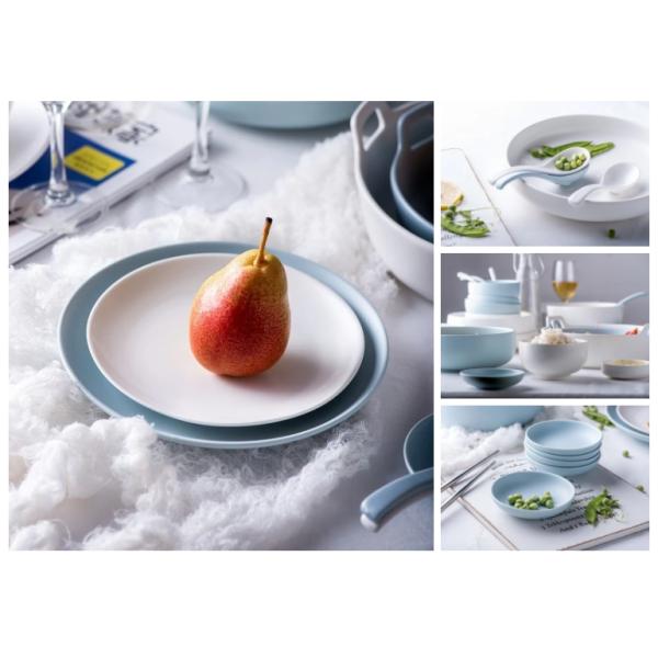 SGS Food Safety 31.5cm Ceramic Tableware Set