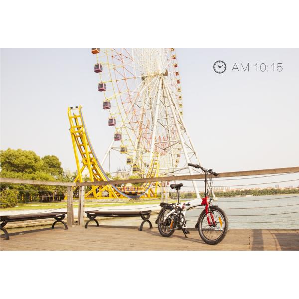 Manufacturer made Folding electric ebike 20