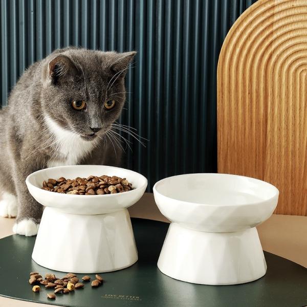 Espinha de proteção Cat Water Bowl da bacia alta cerâmica de Slow Food do animal de estimação do pé