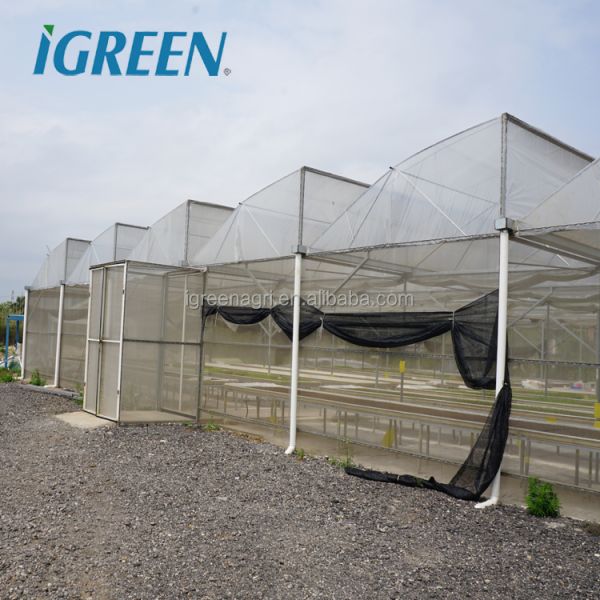 IGreen Saw Tooth Roof Vent Multi Span Plastic Greenhouse for Agriculture