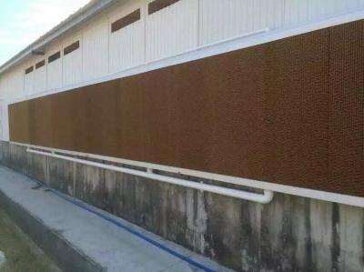 Efficient Cooling Pad Wall 100mm Thicknesses For Greenhouses