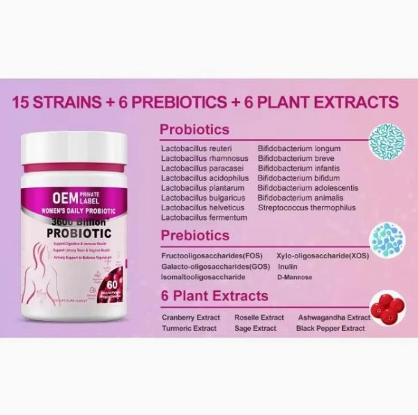 Women's Probiotics Capsules Digestive Enzymes Supplement For Immune Health Gut And Vaginal