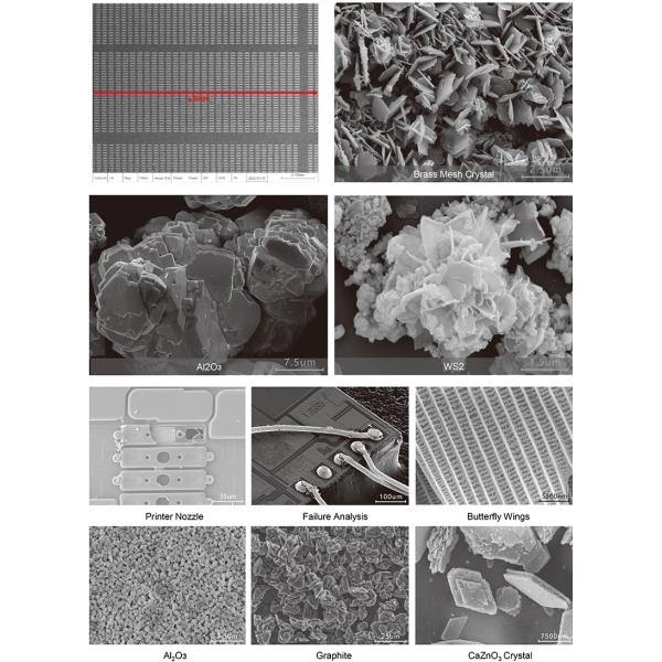 Opto Edu A63.7140A63.7160 2000000x Microscópio Eletrônico de Escaneamento de Emissão de Campo Schottky