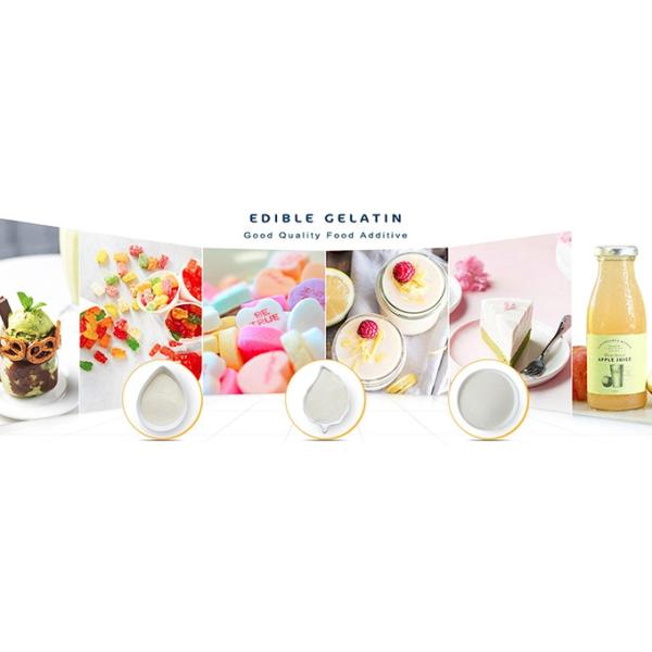 180 Bloom-260 Bloom Géline de bœuf Halal Pour la confiserie Géline comestible