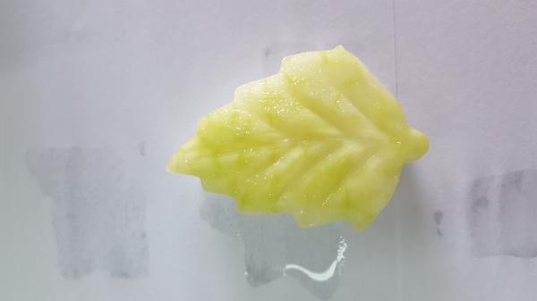 Frozen Winter Melon(White Gourd), leaf-shaped, flower-shaped etc. for food decoration