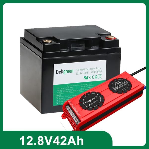 42AH 12V Lithium Iron Phosphate Battery with 2000 Cycles and Built-in BMS for Solar Systems