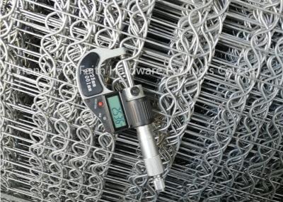 6 linha rede de arame soldada galvanizada fio diâmetro de 2.5mm x de 2.0mm