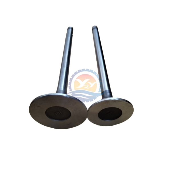 High Quality 6D34  Intake Valve ME013810 6D34 Exhaust Valve ME013832 for Mitsubishi
