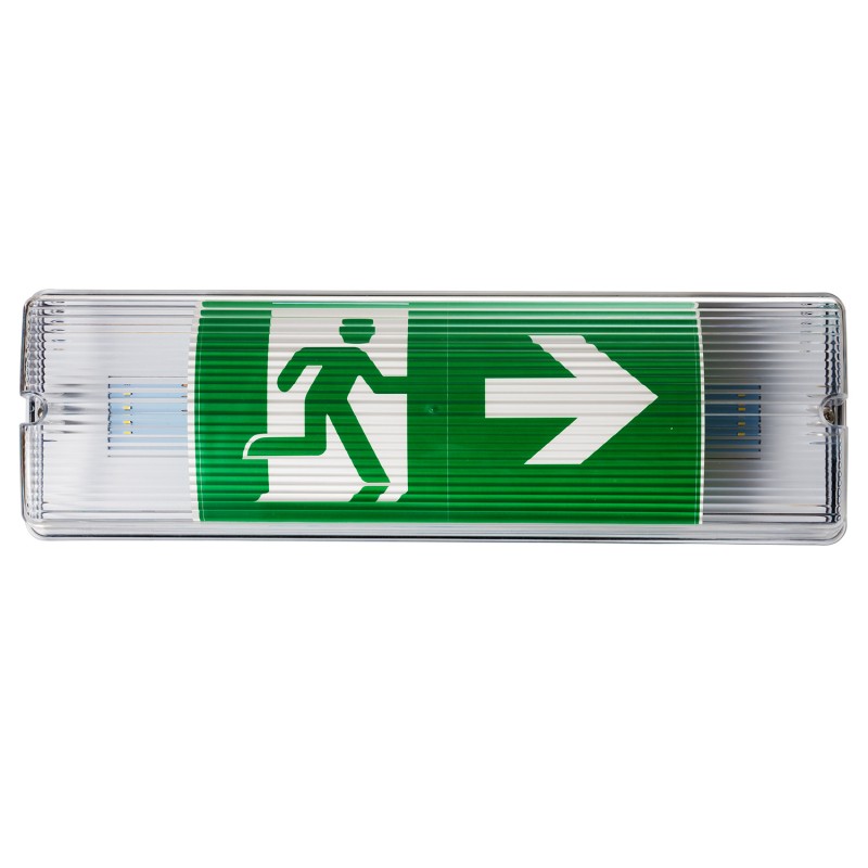 Fire Retardant ABS PC Diffuser LED Waterproof Emergency Light Non Maintained IP65 L122M