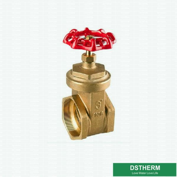 O punho vermelho do ferro fundido de 3 polegadas personalizou 200 a válvula de porta de bronze do estilo grande do WOG BSPT NPT