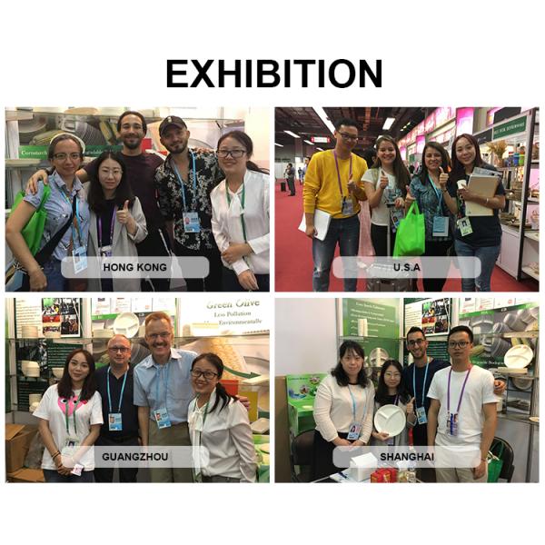 Изготовленные на заказ крышки кофейных чашек заводов сделанные из пульпы багассы сахарного тростника со свободным от PFAS