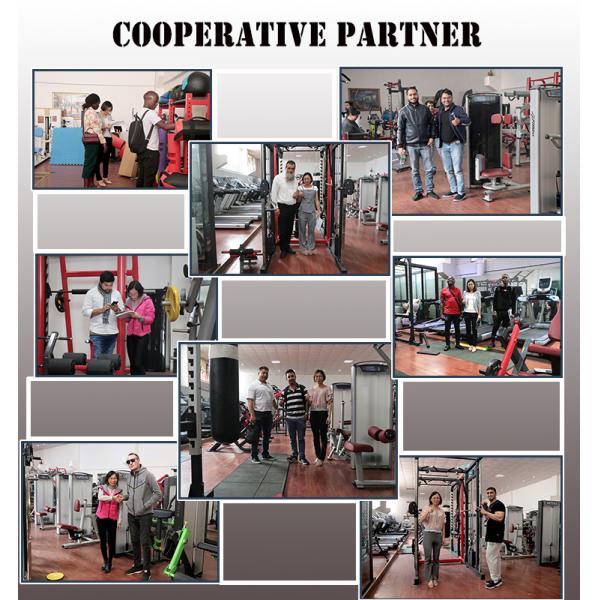 Отливая в форму сгущенная генерация силы собственной личности оборудования тренировки валика Рекумбент