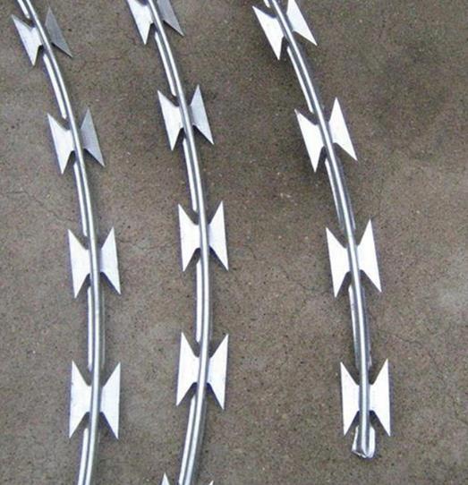 Razor Barbed Wire Concertina Razor Wire for Security Fence
