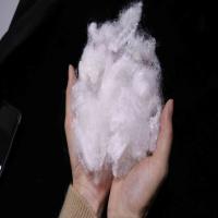 Fibre conjuguée vierge creuse 20D creuse en coton dur ignifuge