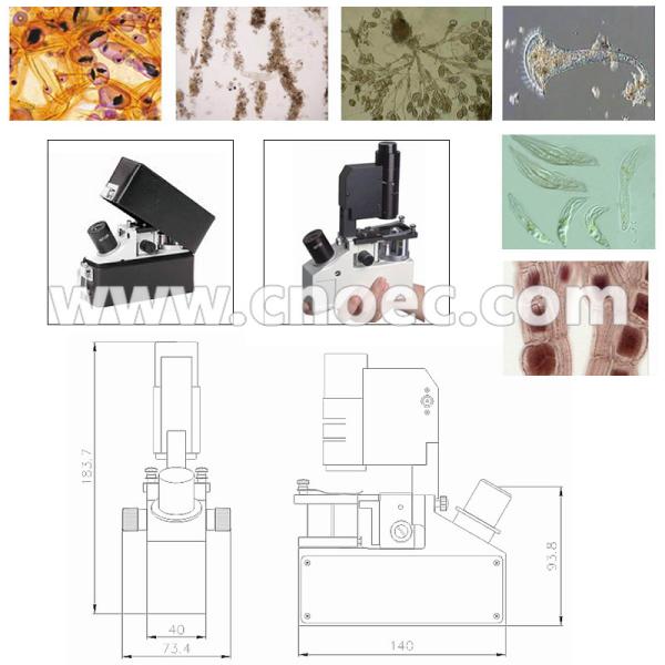 Microscópio óptico invertido contraste da fase