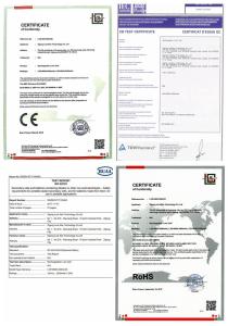 Chongqing Huanhong Trading Co., Ltd.